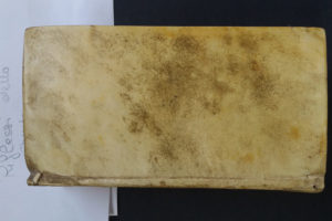 Stefania Zeppieri | Conservation and Restoration of Library Assets, Works of Art on Paper and Related Artifacts