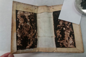 Stefania Zeppieri | Conservation and Restoration of Library Assets, Works of Art on Paper and Related Artifacts