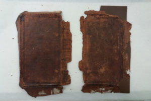 Stefania Zeppieri | Conservation and Restoration of Library Assets, Works of Art on Paper and Related Artifacts | Fondo Gallega