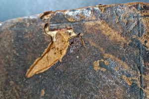Stefania Zeppieri | Conservation and Restoration of Library Assets, Works of Art on Paper and Related Artifacts | Fondo Gallega