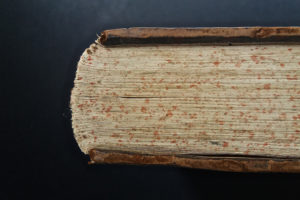 Stefania Zeppieri | Conservation and Restoration of Library Assets, Works of Art on Paper and Related Artifacts | Fondo Gallega