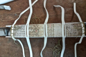 Stefania Zeppieri | Conservation and Restoration of Library Assets, Works of Art on Paper and Related Artifacts | Fondo Gallega