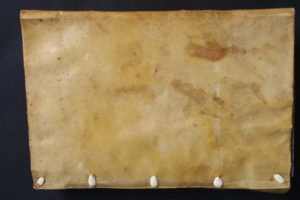 Stefania Zeppieri | Conservation and Restoration of Library Assets, Works of Art on Paper and Related Artifacts | Fondo Gallega