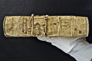 Stefania Zeppieri | Conservation and Restoration of Library Assets, Works of Art on Paper and Related Artifacts | Fondo Gallega