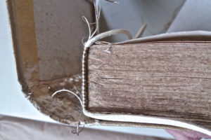 Stefania Zeppieri | Conservation and Restoration of Library Assets, Works of Art on Paper and Related Artifacts | Fondo Gallega