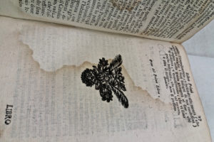 Stefania Zeppieri | Conservation and Restoration of Library Assets, Works of Art on Paper and Related Artifacts