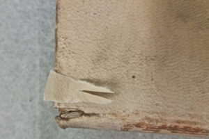 Stefania Zeppieri | Conservation and Restoration of Library Assets, Works of Art on Paper and Related Artifacts | Fondo Gallega