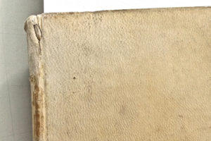 Stefania Zeppieri | Conservation and Restoration of Library Assets, Works of Art on Paper and Related Artifacts | Fondo Gallega