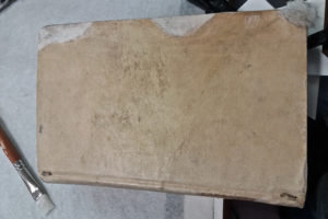 Stefania Zeppieri | Conservation and Restoration of Library Assets, Works of Art on Paper and Related Artifacts | Fondo Gallega