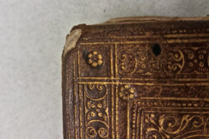 Stefania Zeppieri | Conservation and Restoration of Library Assets, Works of Art on Paper and Related Artifacts