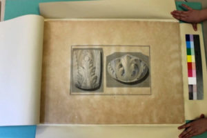 Stefania Zeppieri | Conservation and Restoration of Library Assets, Works of Art on Paper and Related Artifacts
