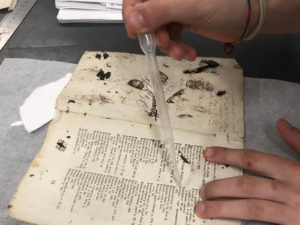 Stefania Zeppieri | Conservation and Restoration of Library Assets, Works of Art on Paper and Related Artifacts | Rome Torvergata Laboratory