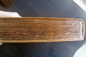 Stefania Zeppieri | Conservation and Restoration of Library Assets, Works of Art on Paper and Related Artifacts | Restoration of Ancient Rare Books
