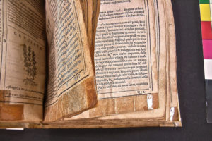 Stefania Zeppieri | Conservation and Restoration of Library Assets, Works of Art on Paper and Related Artifacts | Restoration of Ancient Rare Books