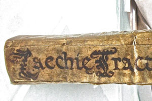 Stefania Zeppieri | Conservation and Restoration of Library Assets, Works of Art on Paper and Related Artifacts | Restoration of Ancient Rare Books