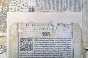 Stefania Zeppieri | Conservation and Restoration of Library Assets, Works of Art on Paper and Related Artifacts | Restoration of Ancient Rare Books
