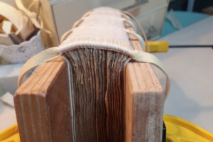 Stefania Zeppieri | Conservation and Restoration of Library Assets, Works of Art on Paper and Related Artifacts | Restoration of Ancient Rare Books