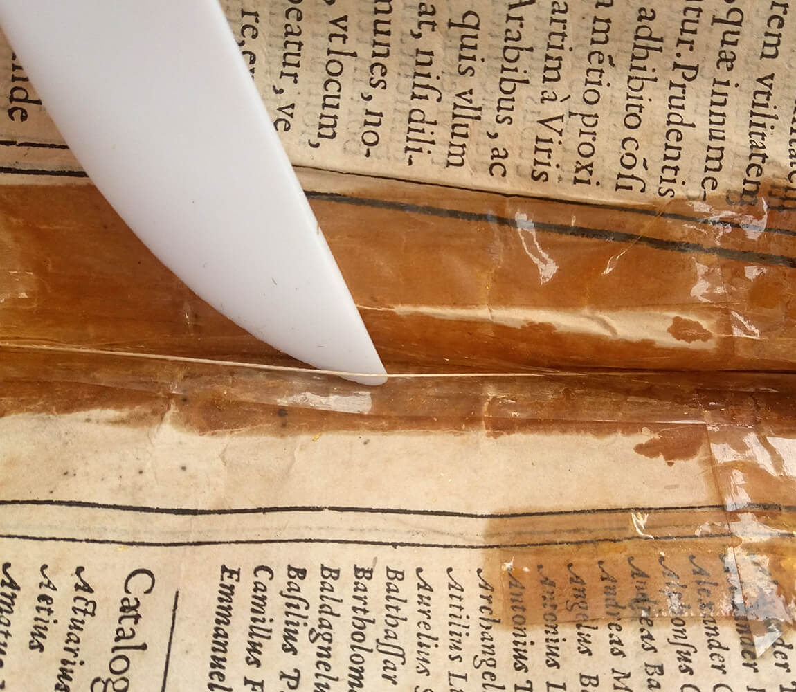 Stefania Zeppieri | Conservazione e Restauro Beni Librari, Archivistici, Opere d'Arte su carta e manufatti Affini - Restauro volumi rari - Herbario Nuovo di Castore Durante (Collezione Privata) - header