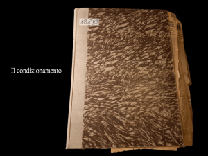Stefania Zeppieri | Conservazione e Restauro Beni Librari, Archivistici, Opere d'Arte su carta e manufatti Affini | Restauro Fondazione Gramsci Onlus